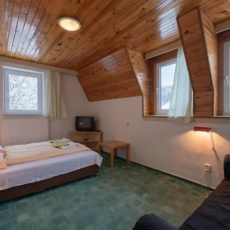 Guest house Chata Miroslav Lipova Lazne